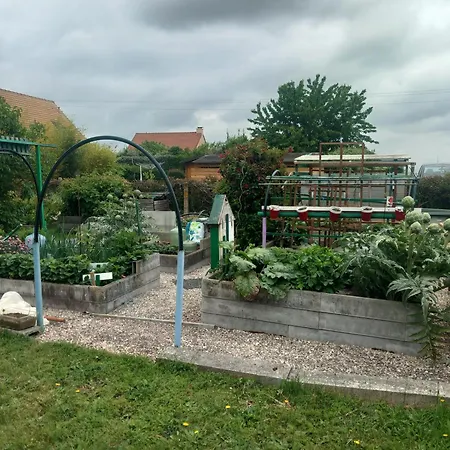 Chez Patrick * Maizet