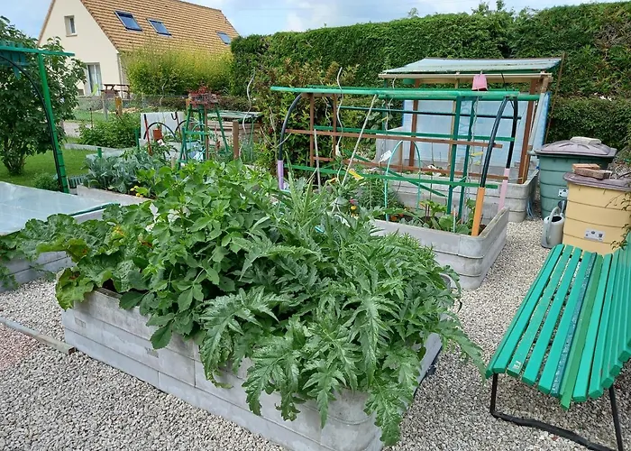 Chez Patrick Homestay